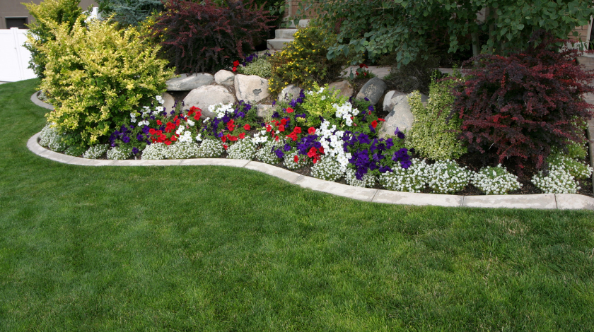 Greener Grass Landscaping: Elevating Outdoor Spaces in Mount Pleasant, South Carolina